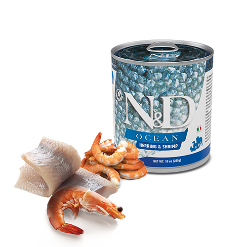N&D Ocean Canine con Aringa e Gamberetti