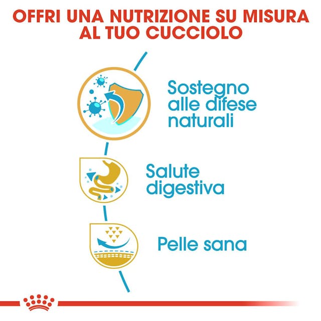 Royal Canin French Bulldog Puppy & Junior