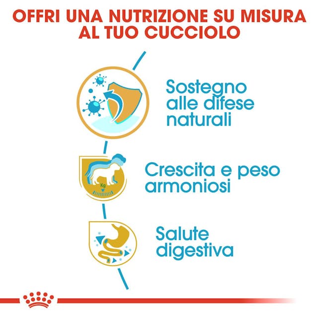 Royal Canin Labrador Retriever Puppy - Giardango