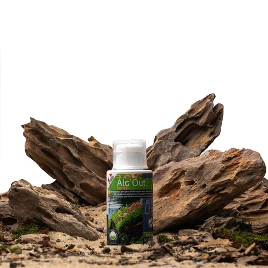 Prodibio Alg'out Nano 100ml - Giardango