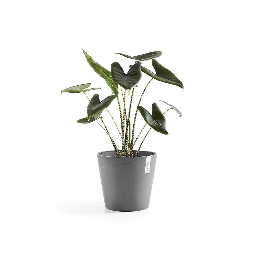 Vaso Tondo Ecopots Amsterdam 30 Grigio