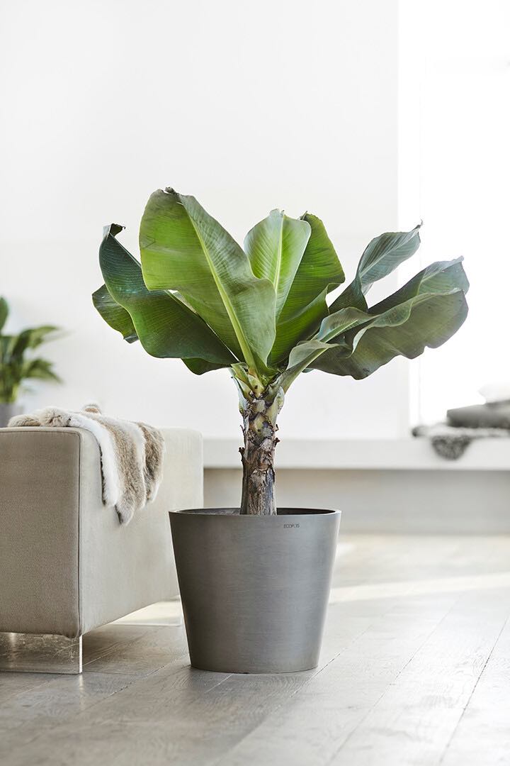 Vaso Tondo Ecopots Amsterdam 40 Grigio