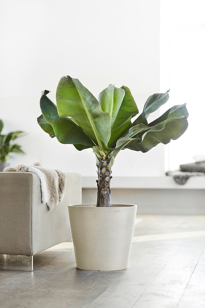 Vaso Tondo Ecopots Amsterdam 50 Grigio Chiaro