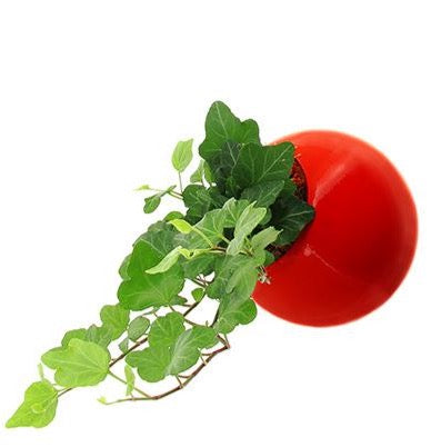 Flowerbox Sfera di Ceramica Smaltata di Vari Colori