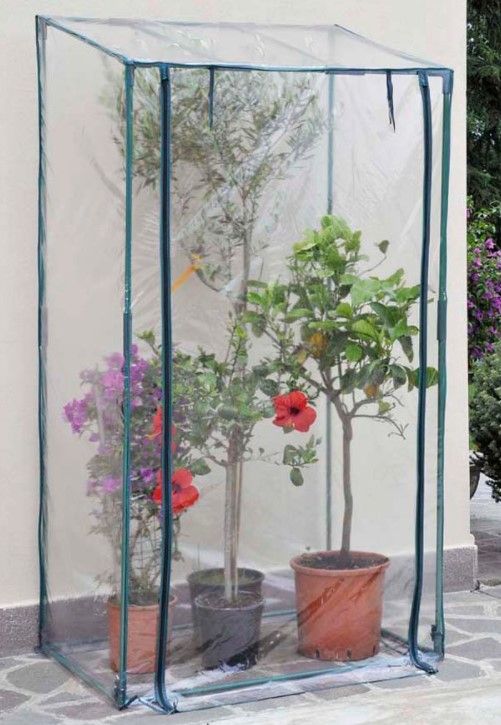 Serra Buganvillea - Giardango