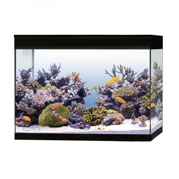 Askoll Pure Led XL HC Marino - Giardango