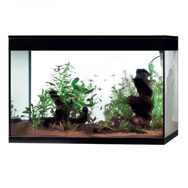 Askoll Pure Led XL HC - Giardango