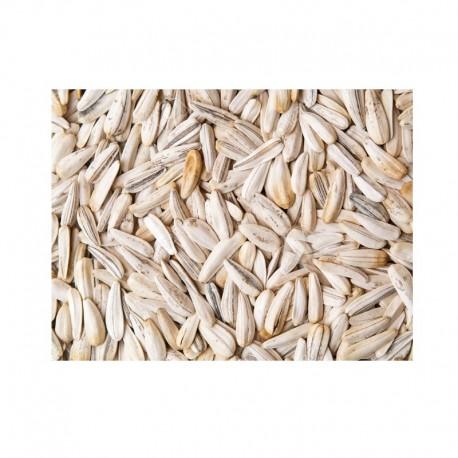 Semi di Girasole Bianco 600 g