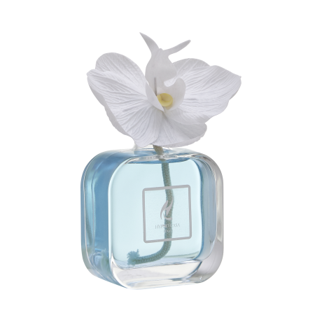 Diffusore con Orchidea Hypno Chic da 100 ml - Giardango