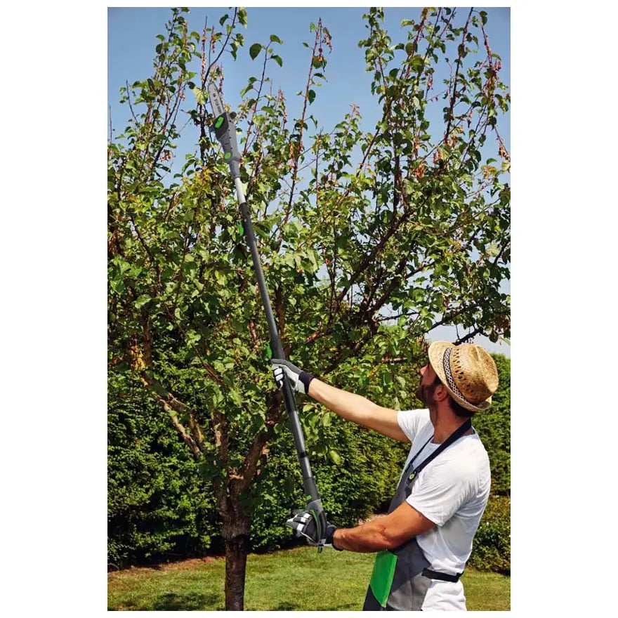 Verdemax Potatore telescopico PT20 a batteria