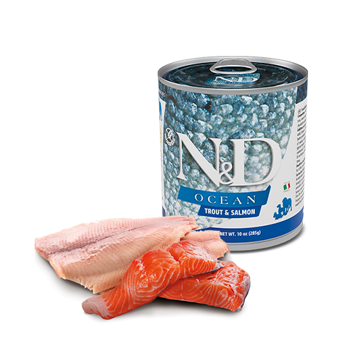 N&D Ocean Canine con Trota e Salmone