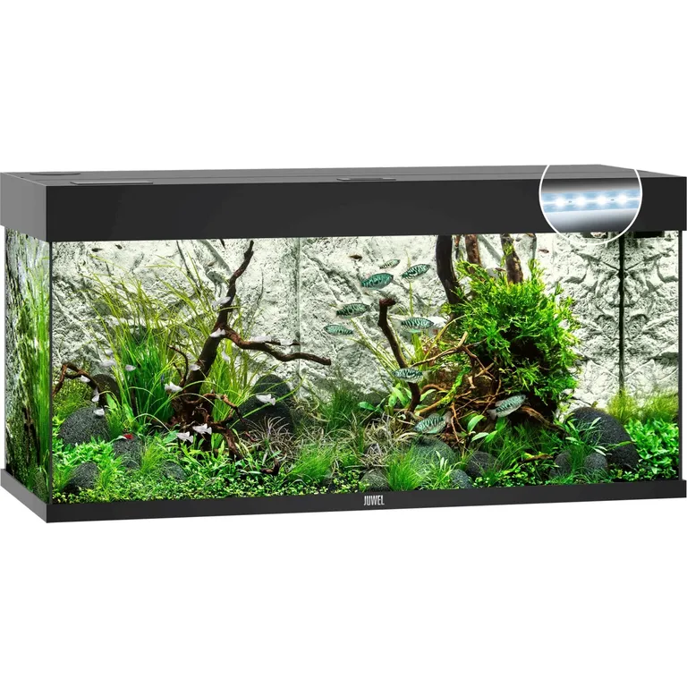 Juwel Acquario Rio 180 LED