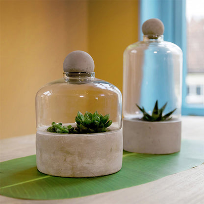 Terrarium con base di cemento - Giardango