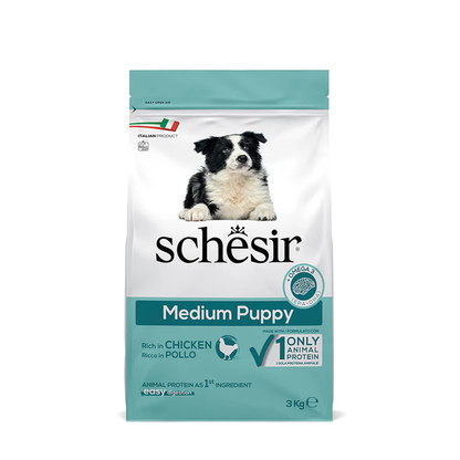 Schesir Medium Puppy con Pollo - Giardango