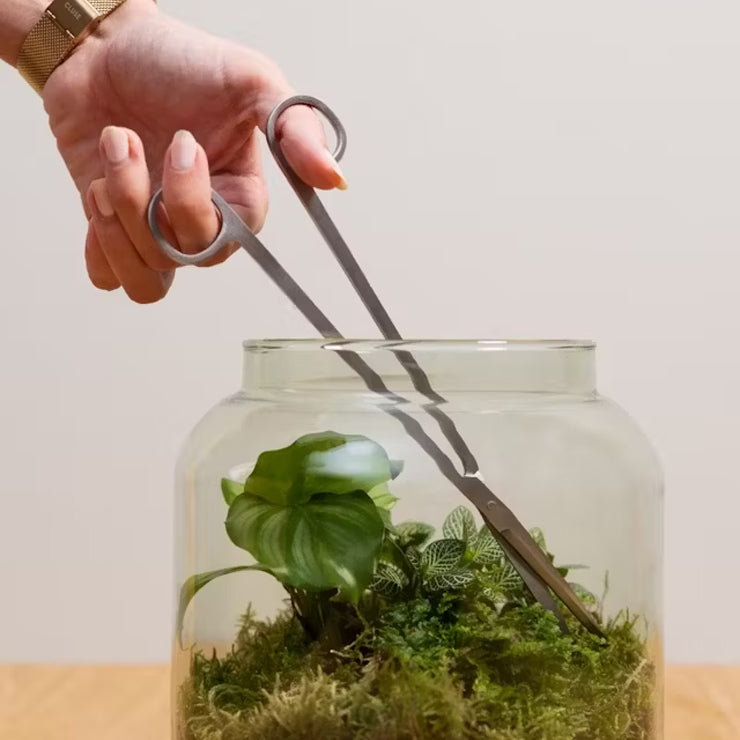 Forbice per Terrarium - Giardango