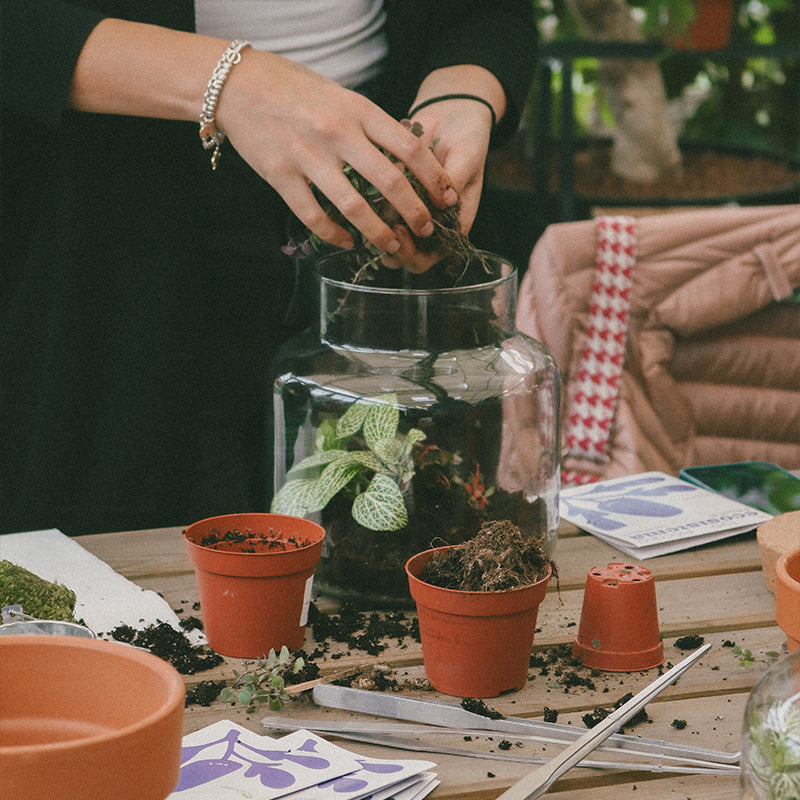 Workshop Terrarium Base