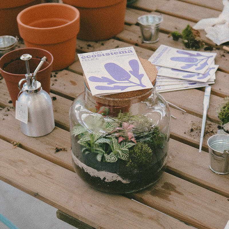 Workshop Terrarium Base