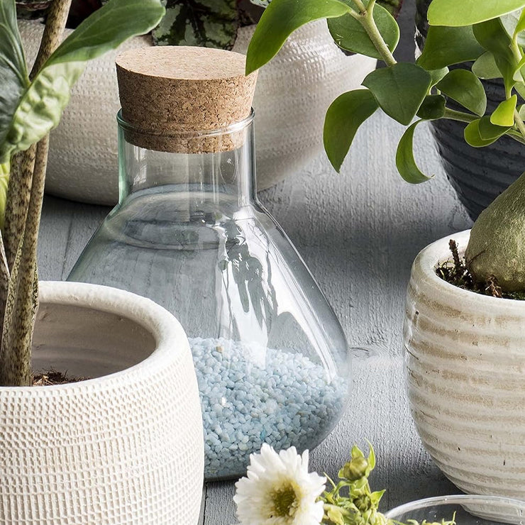 Vaso Emily per terrarium - Giardango