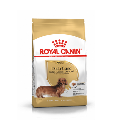 Royal Canin Bassotto Dachsund Adult - Giardango
