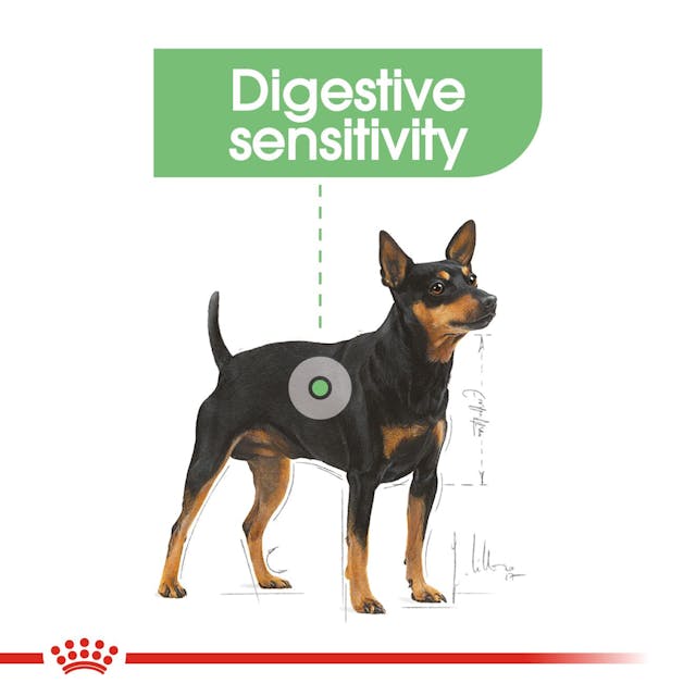 Royal Canin Mini Digestive Care - Giardango