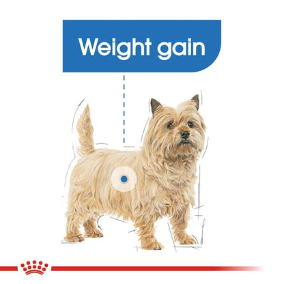 Royal Canin Mini Light Weight Care - Giardango