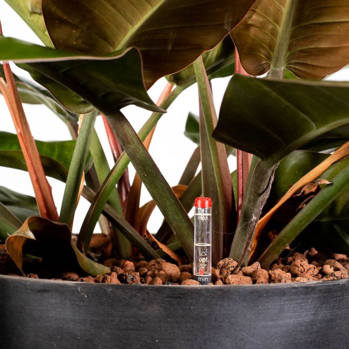 Indicatori di livello acqua per idrocoltura