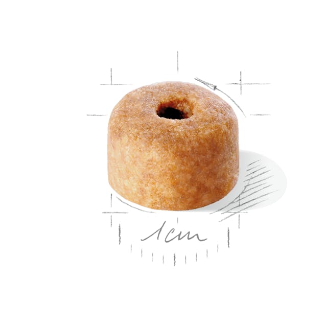 Royal Canin Labrador Retriever Puppy - Giardango