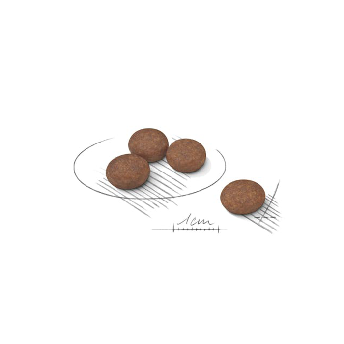 Royal Canin Mini Digestive Care - Giardango