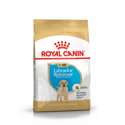 Royal Canin Labrador Retriever Puppy - Giardango
