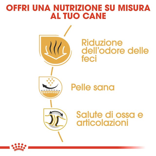 Royal Canin Bulldog Adult - Giardango