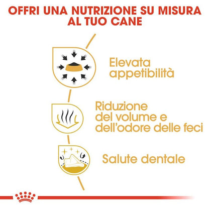 Royal Canin Chihuahua Adult - Giardango