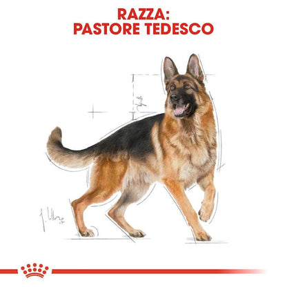 Royal Canin Pastore Tedesco Adult - Giardango