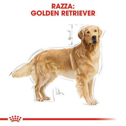 Royal Canin Golden Retriever Adult - Giardango