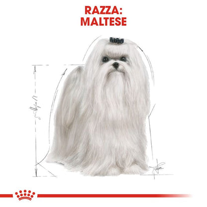 Royal Canin Maltese Adult - Giardango