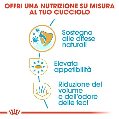 Royal Canin Chihuahua Puppy & Junior