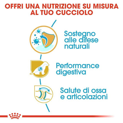 Royal Canin Pastore Tedesco Puppy - Giardango