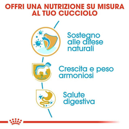 Royal Canin Labrador Retriever Puppy - Giardango