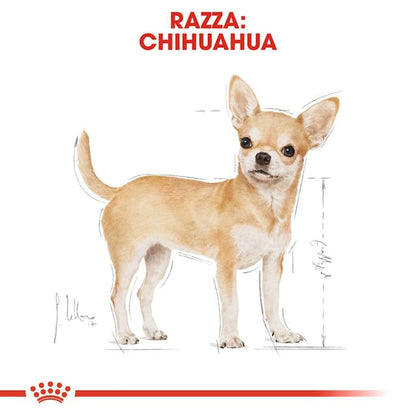 Royal Canin Chihuahua Adult Wet - Giardango