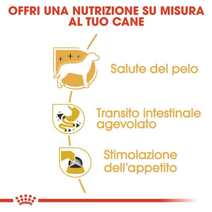 Royal Canin Chihuahua Adult Wet - Giardango