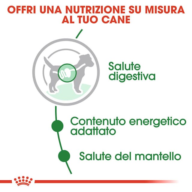 Royal Canin Mini Adult Wet - Giardango