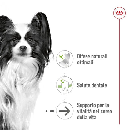 Royal Canin X-Small Ageing 12+ - Giardango