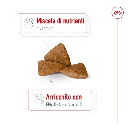 Royal Canin X-Small Ageing 12+ - Giardango