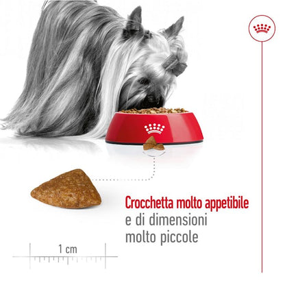 Royal Canin X-Small Ageing 12+ - Giardango