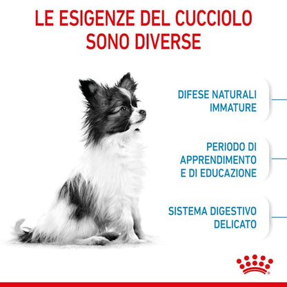 Royal Canin X-Small Puppy - Giardango