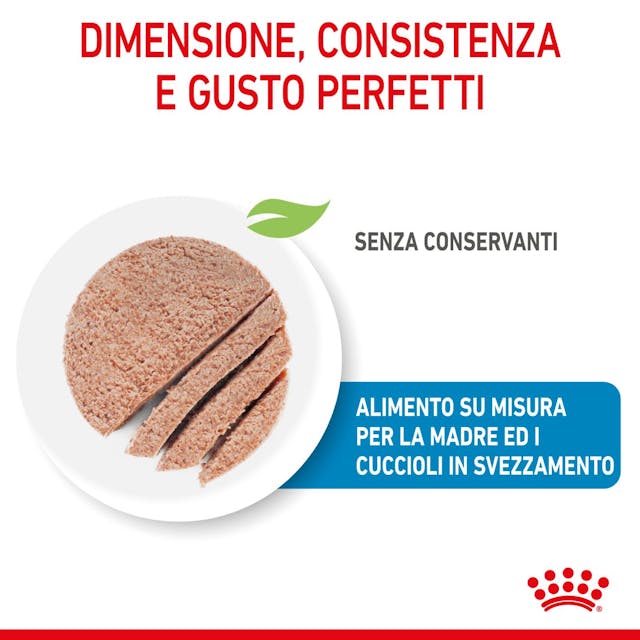 Royal Canin Starter Mother & Babydog Wet - Giardango