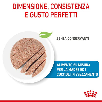 Royal Canin Starter Mother & Babydog Wet - Giardango