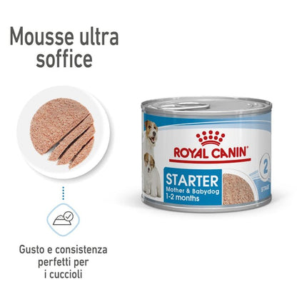 Royal Canin Starter Mother & Babydog Wet - Giardango