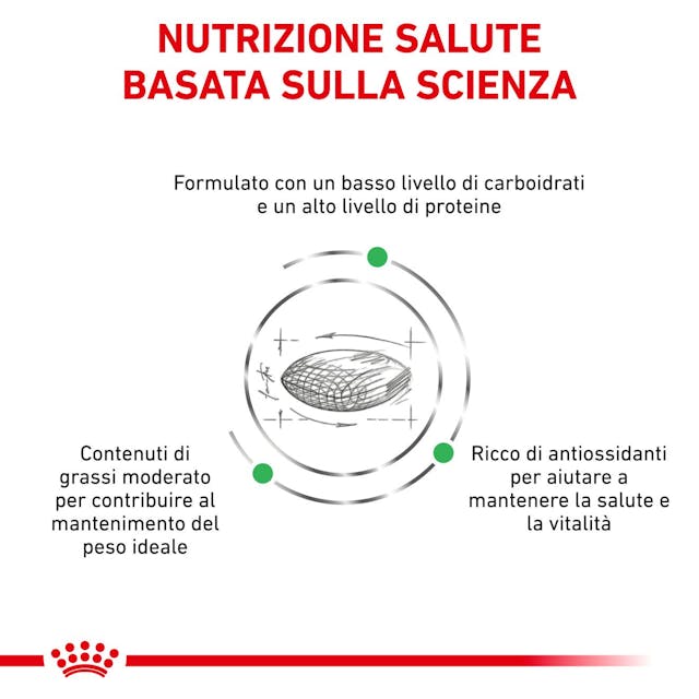 Royal Canin Veterinary Diabetic - Giardango