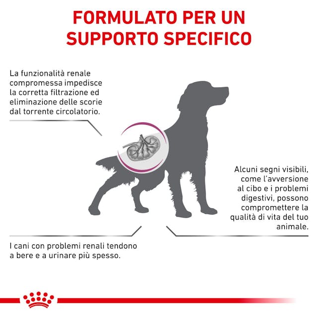 Royal Canin Veterinary Renal - Giardango