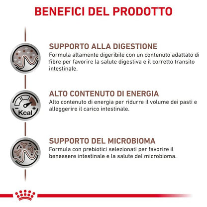 Royal Canin Veterinary Gastrointestinal Adult Wet - Giardango